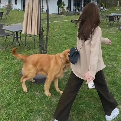 致不灭的你第二季